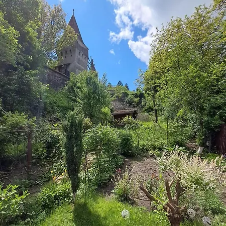 Kwatera prywatna Casa Adimi
